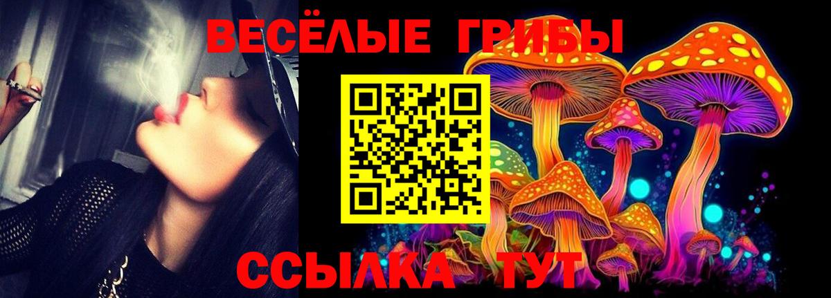 Псилоцибиновые грибы ЛСД Гусев
