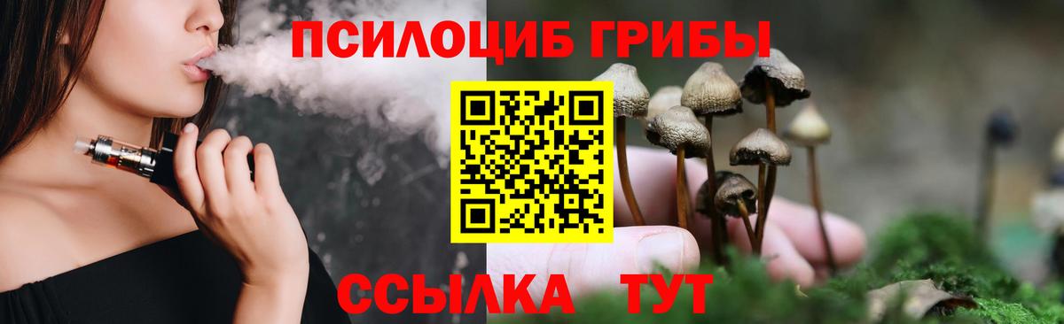Гусев  Галлюциногенные грибы ЛСД  Вход с VPN  даркнет сайт  Галлюциногенные грибы мухоморы 